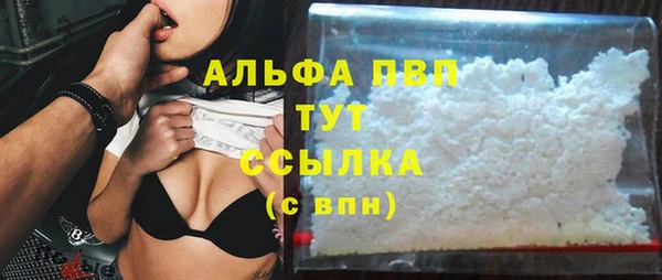меф Ельня