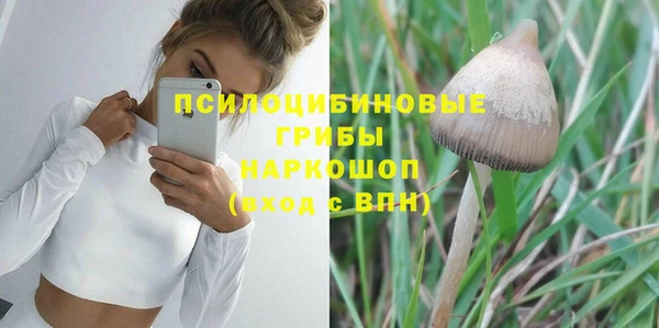 меф Ельня