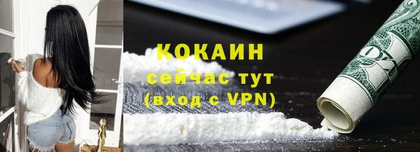 меф Ельня