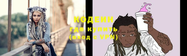 меф Ельня