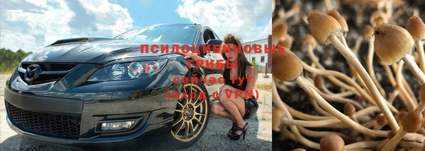 МДПВ Заволжье