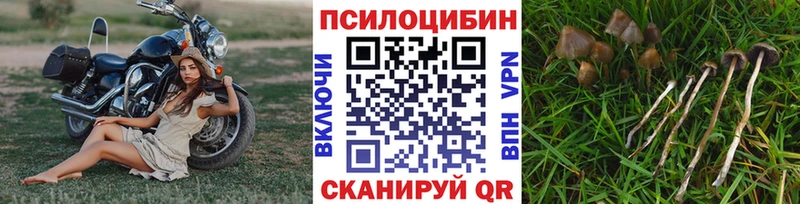 Купить закладки  Разумное  Псилоцибиновые грибы GOLDEN TEACHER 